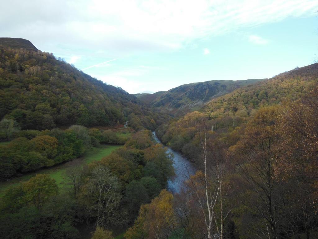 Pwllgwilym B & B Builth Wells Dış mekan fotoğraf