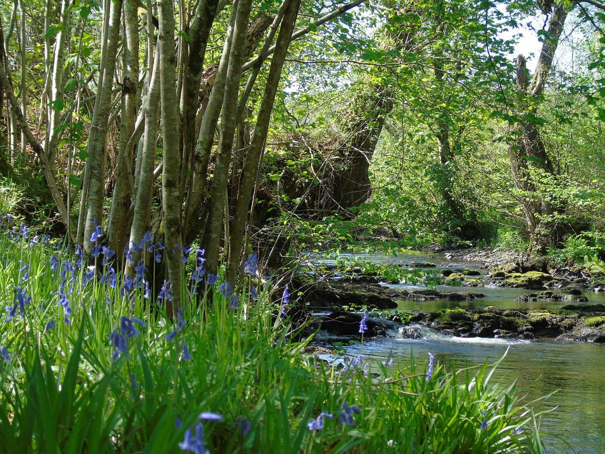 Pwllgwilym B & B Builth Wells Dış mekan fotoğraf