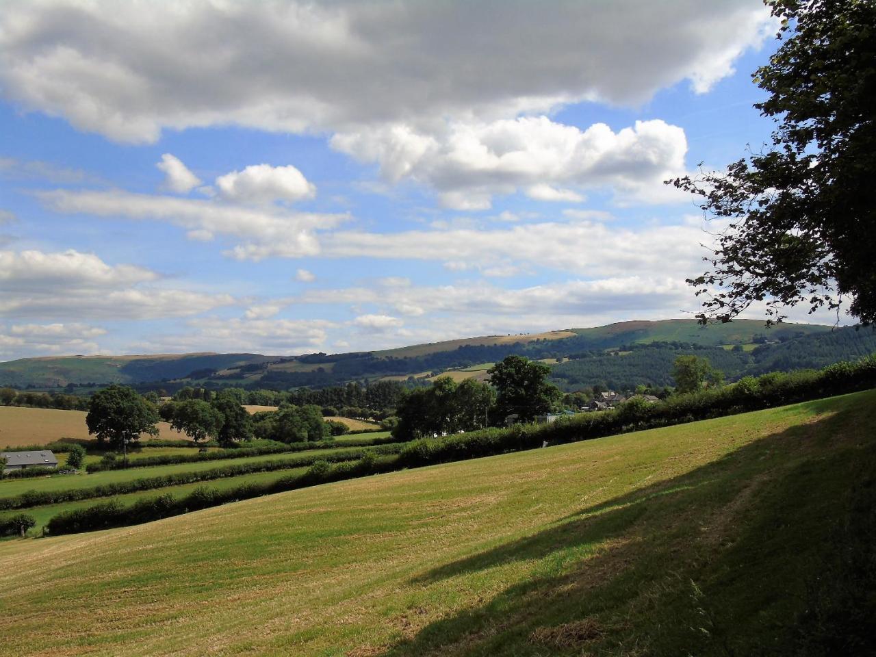 Pwllgwilym B & B Builth Wells Dış mekan fotoğraf