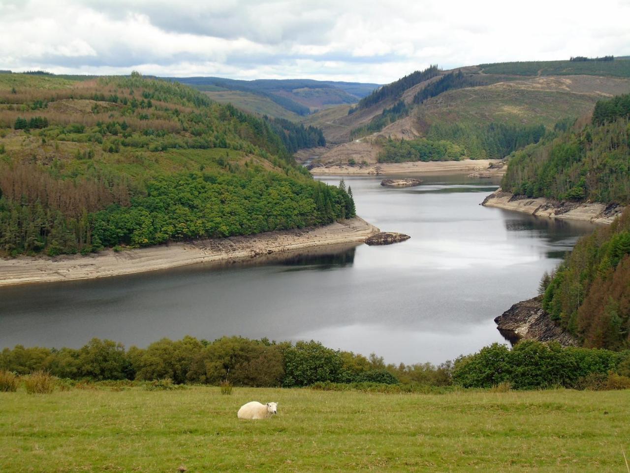 Pwllgwilym B & B Builth Wells Dış mekan fotoğraf