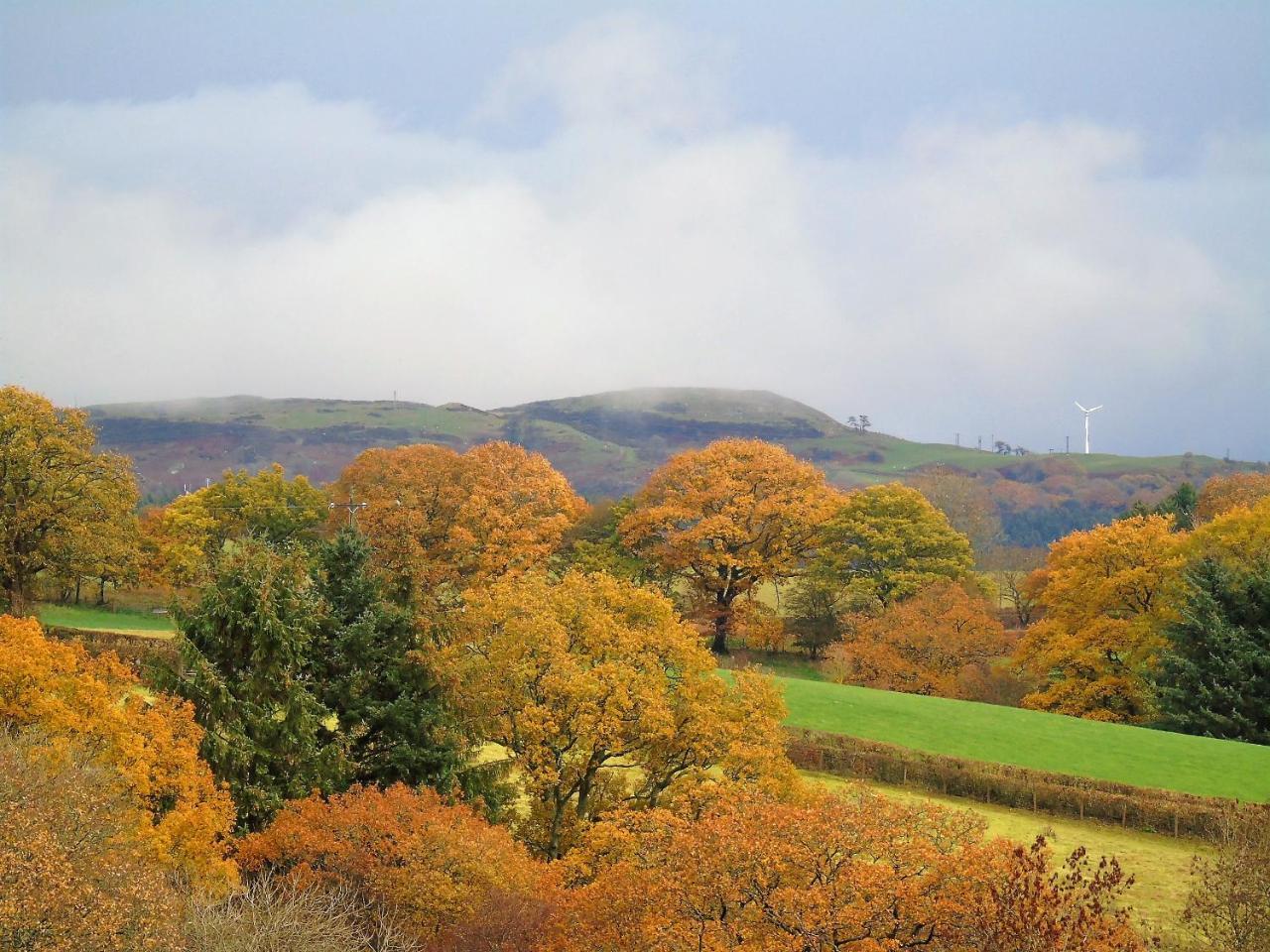 Pwllgwilym B & B Builth Wells Dış mekan fotoğraf